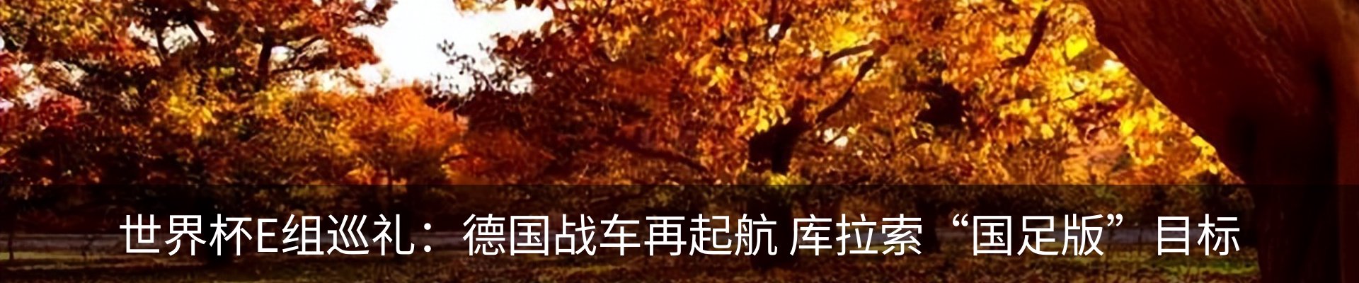 资讯动态