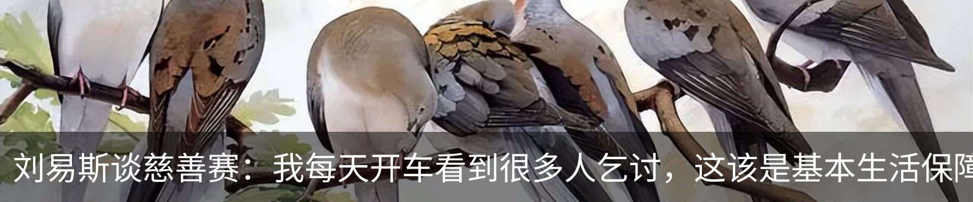 资讯动态
