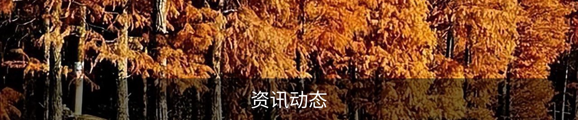 资讯动态