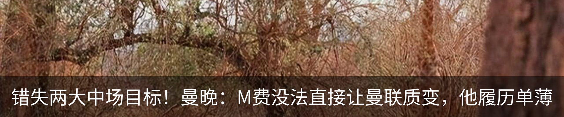 资讯动态